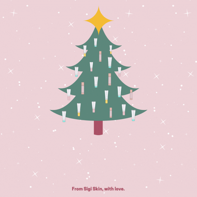 Social_Media-Sigiskin_Instagram_December_Promo.gif