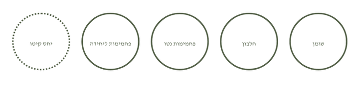 השקר הכי טוב (3).png