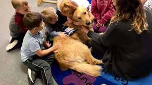 Golden Retriever helps children with autism at Sunflower Early Ed Center