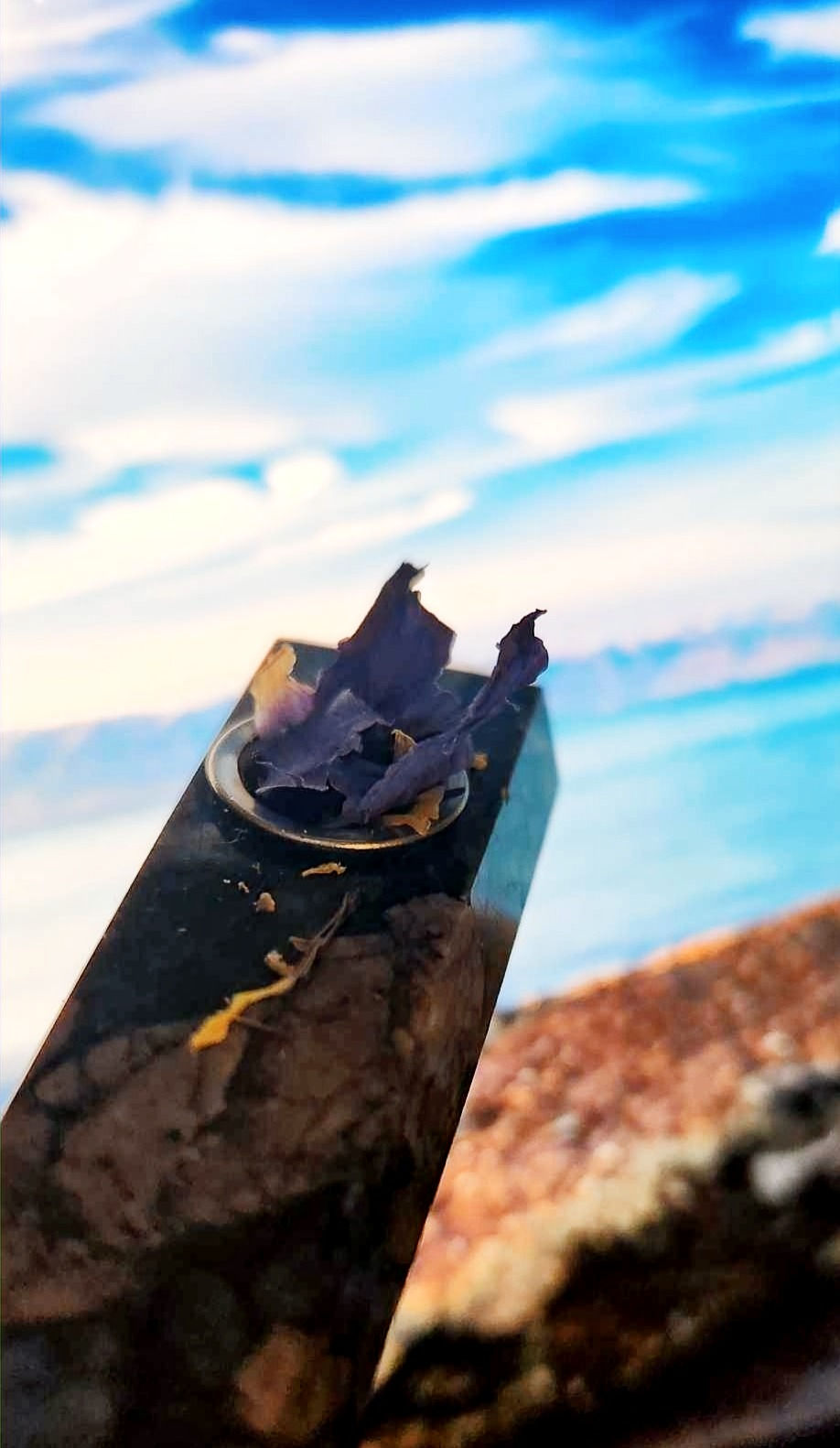 Thumbnail: Organic Blue Lotus