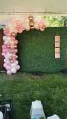 IMG-20220618-WA0008.jpeg
