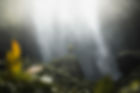 view-of-waterfall-in-java-indonesia-2025-02-10-05-24-57-utc.jpg