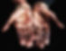 human-hand-2024-11-29-03-53-59-utc.jpg
