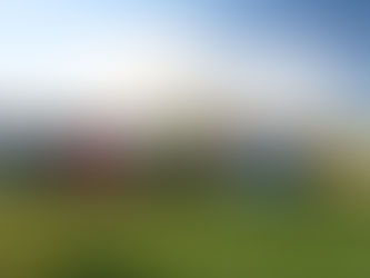 „Go the Extra Mile“ – kai jaunimas žengia dar vieną žingsnį arčiau lietuvybės