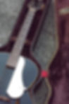 Jet21#2 © vintagegretsch.com