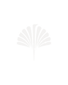 Essencial.png