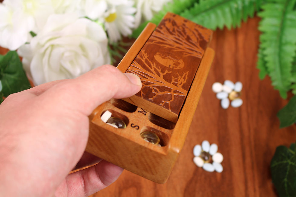 Miniaturbild: Forest Moon | AM/PM 7 Day Pill Organizer | Single