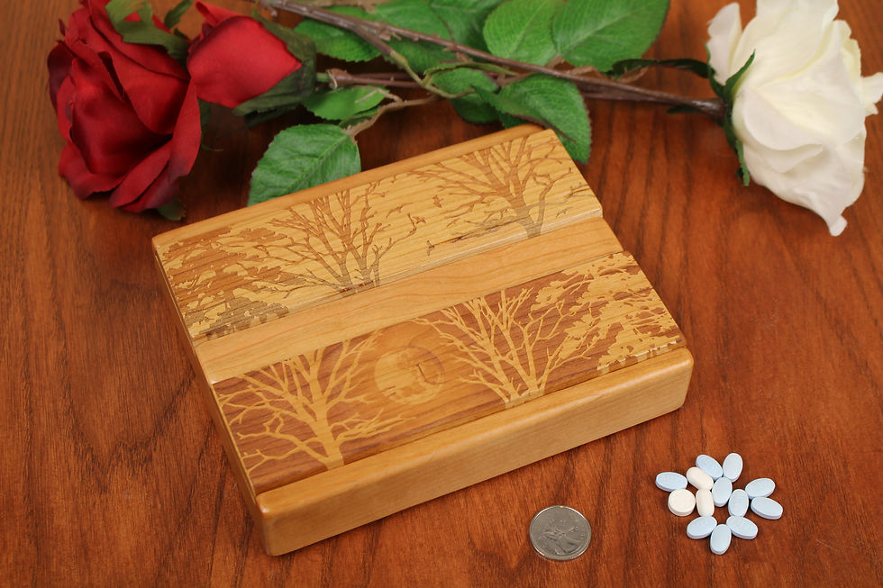 Thumbnail: Forest Moon | AM PM Weekly Pill Organizer | Double