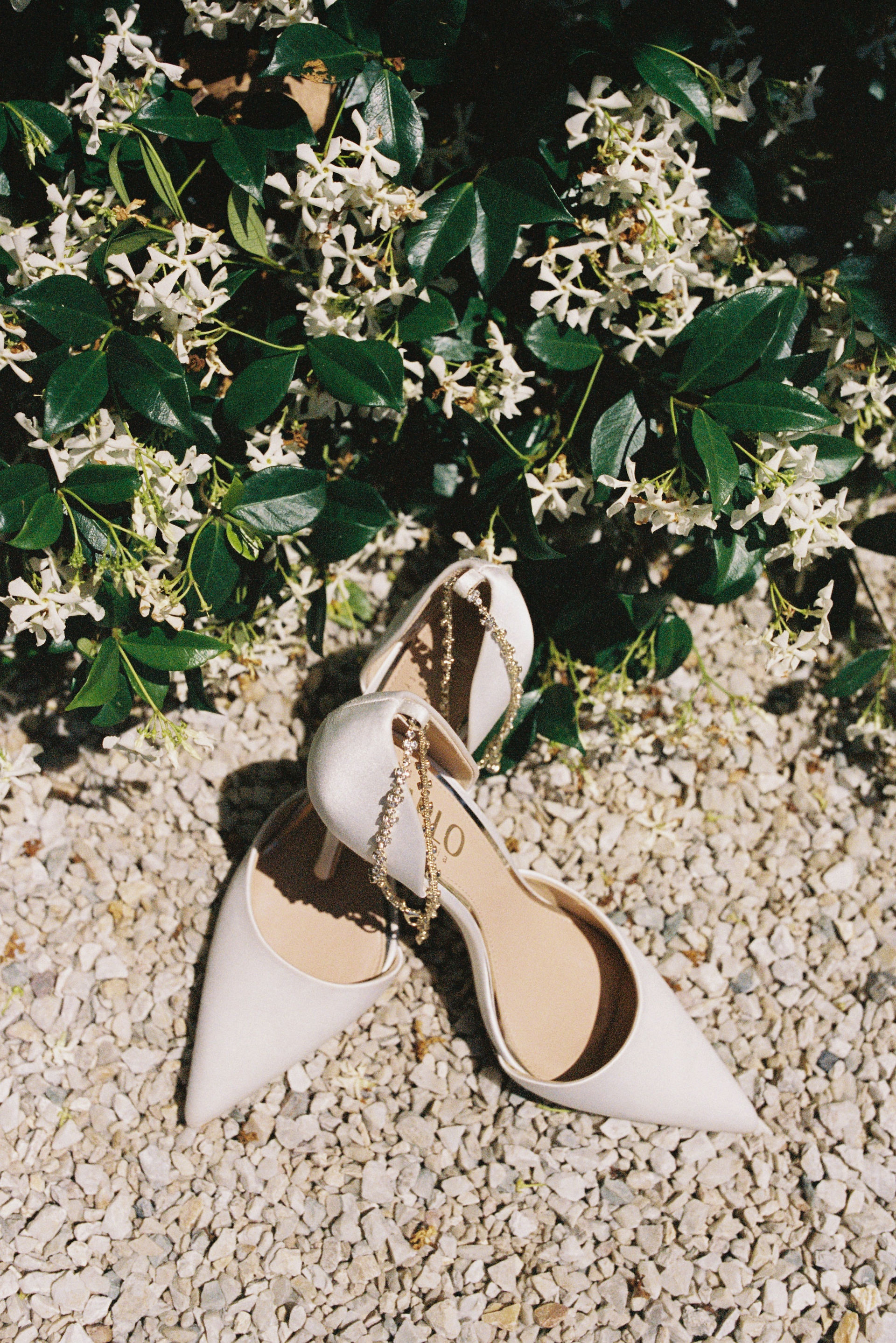 Elegant European-inspired wedding, Fig Tree Byron Bay, Wedding Photography