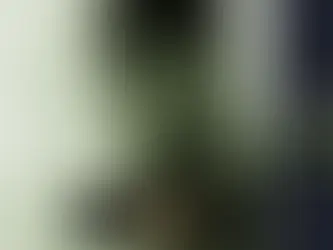 『이번BET 먹튀확정』 토토사이트 이번BET 『THIS』 먹튀사이트 『www.s-flower00.com』