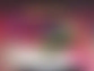 《골든슈 먹튀확정》 토토사이트 골든슈《GOLDEN SHOE》 먹튀사이트 《gds-x.com》