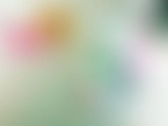 CONCURSO UN SUEÑO DULCE FACEBOOK 2