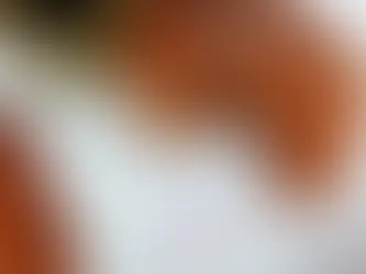 MealPrep menús saludables para toda la semana