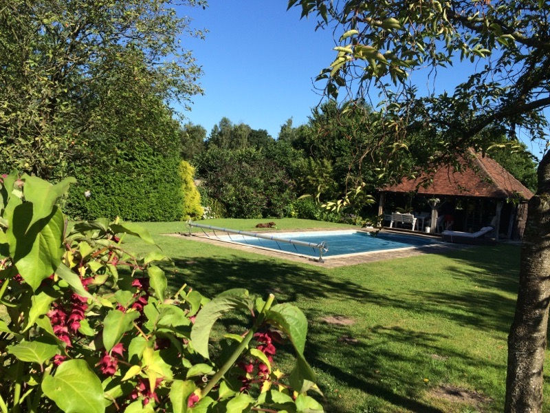 The pool and pool house