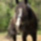 93272851_3035482113138462_4103261452217876480_n.jpeg