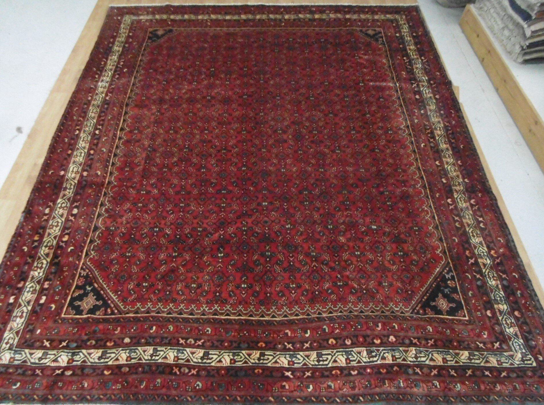 Both- Mir 338 x 282cm