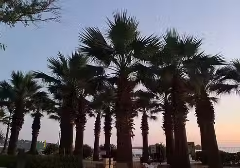 Пак любимата Турция - отзив за хотел Kustur Club Holiday Village в Кушадасъ