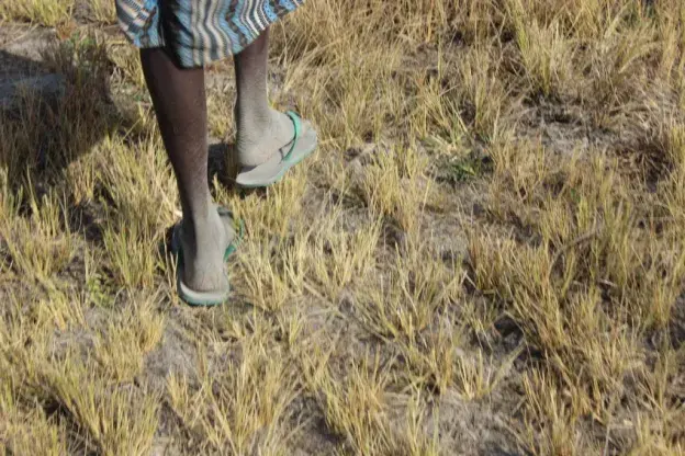Walking a mile in their shoes