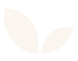 Untitled design (4).png