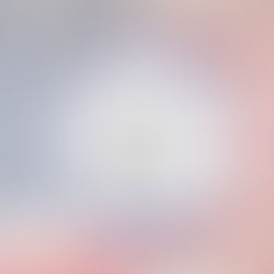 Civil Affairs Issue Papers Selected for 2016-17