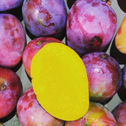 79609263_474241456537126_376992803193471