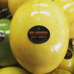 66482943_421799658451033_588028101606100