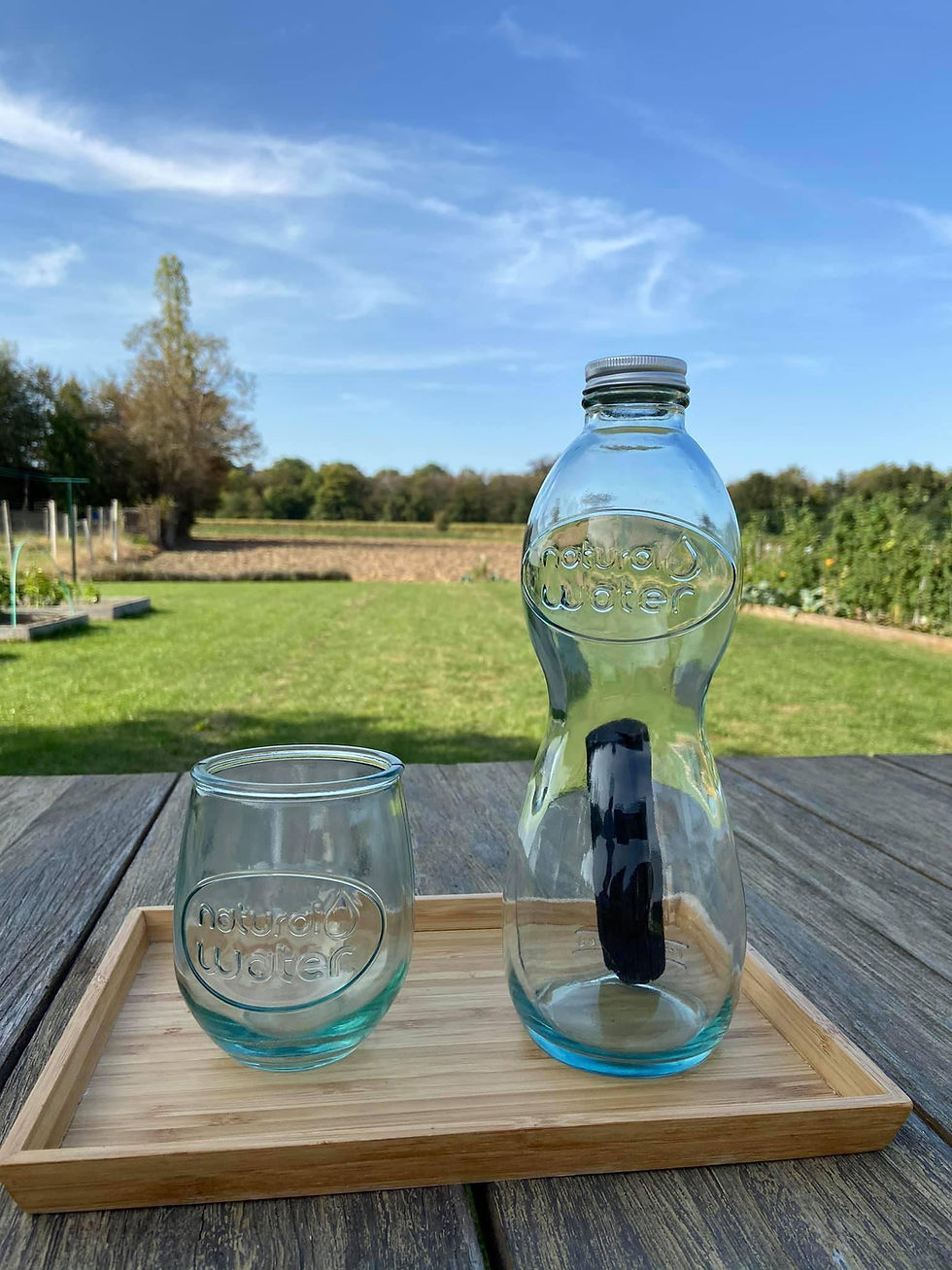 Miniature : Set Carafe Natural Water + 2 verres + 1 charbon Woody binchotan