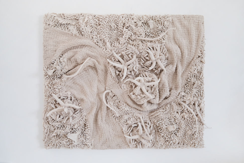 She’s Landscape No.8