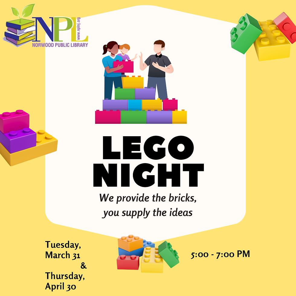 LEGO NIGHT