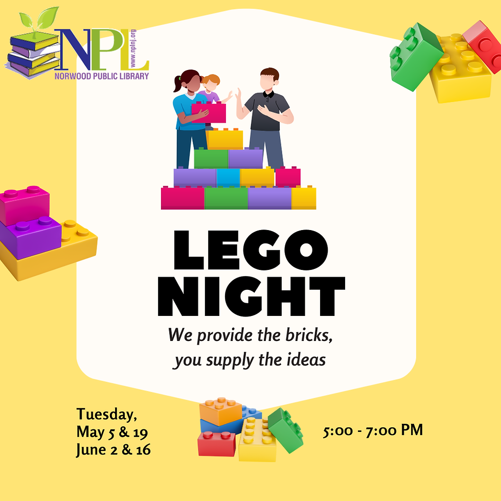 LEGO NIGHT
