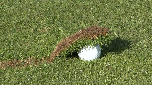 104d20d3_Chili-Dip-Golf.jpeg