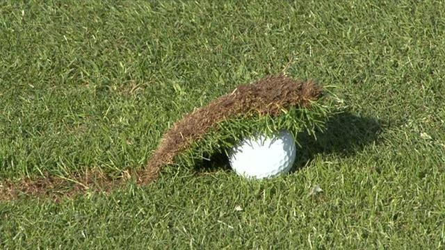 104d20d3_Chili-Dip-Golf.jpeg