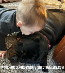 506607531_3115323438626632_3594103554168459905_n