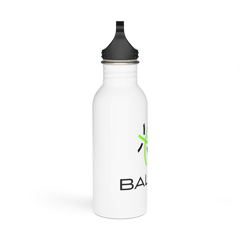 Thumbnail: Stainless Steel Water Bottle