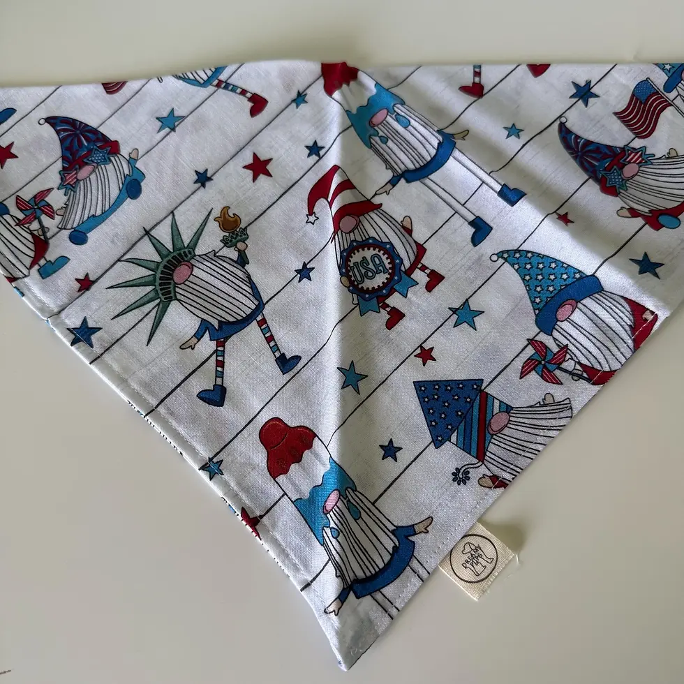 Thumbnail: USA Gnomes Bandana