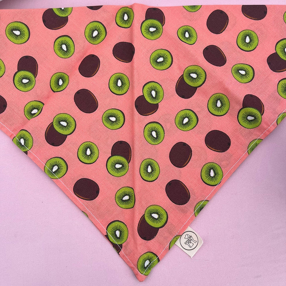 Thumbnail: Kiwis Bandana