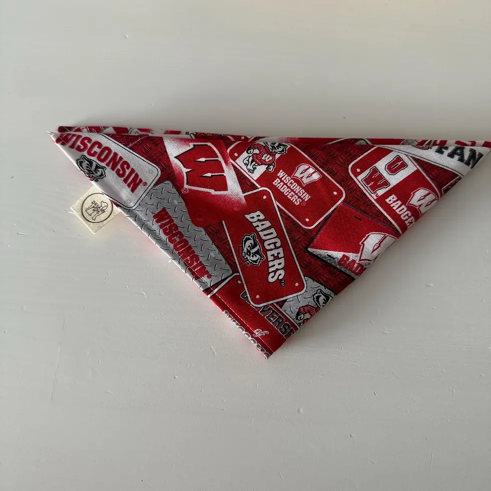 Thumbnail: WI Badgers Bandana