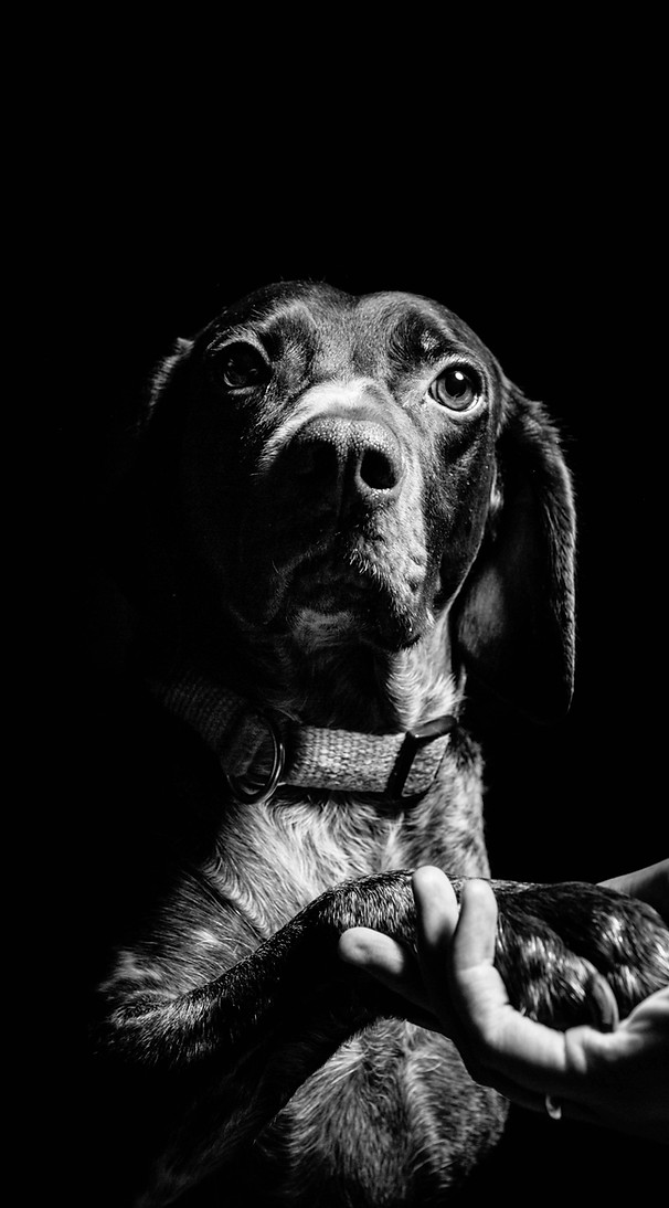 fabian-gieske-yobw-nedZ2s-unsplash_edite