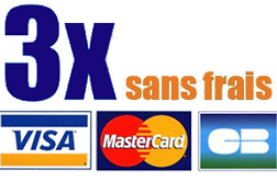 paiement-carte-grise-3-fois-300x181.png