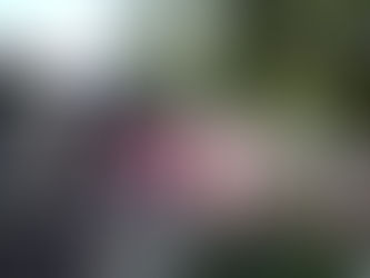 Femma (Laarne) op bezoek