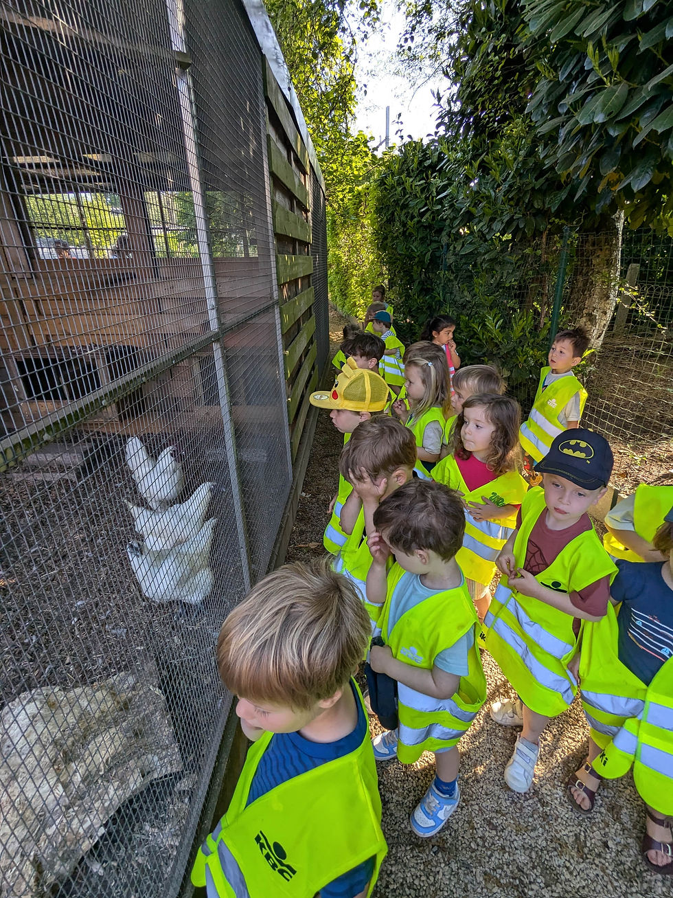 Kleuterklas van Edugo Lourdes en Meerhout op bezoek