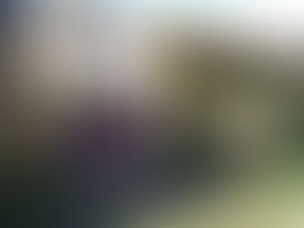 Kleuterklas van Sint-Lievens-Poort op bezoek