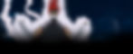 fundo capa.jpg