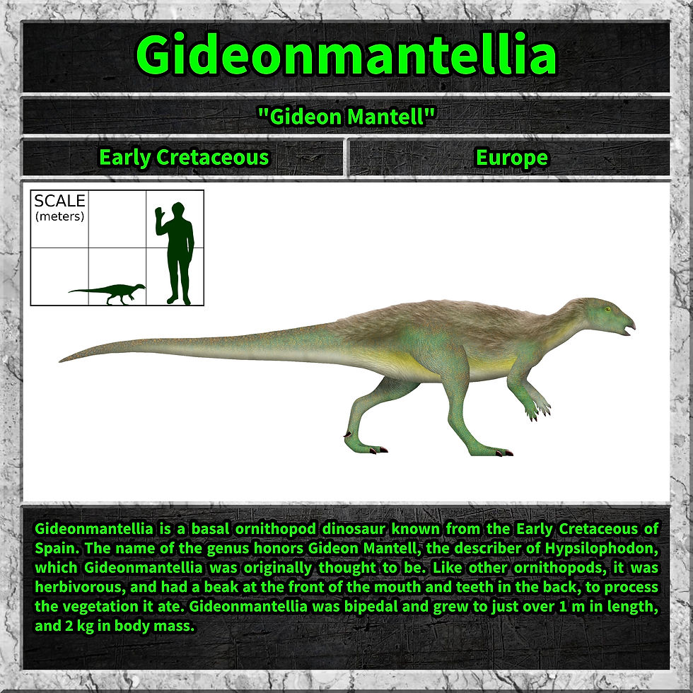 Gideonmantellia