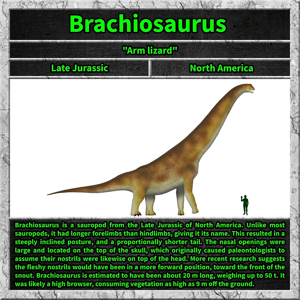Brachiosaurus