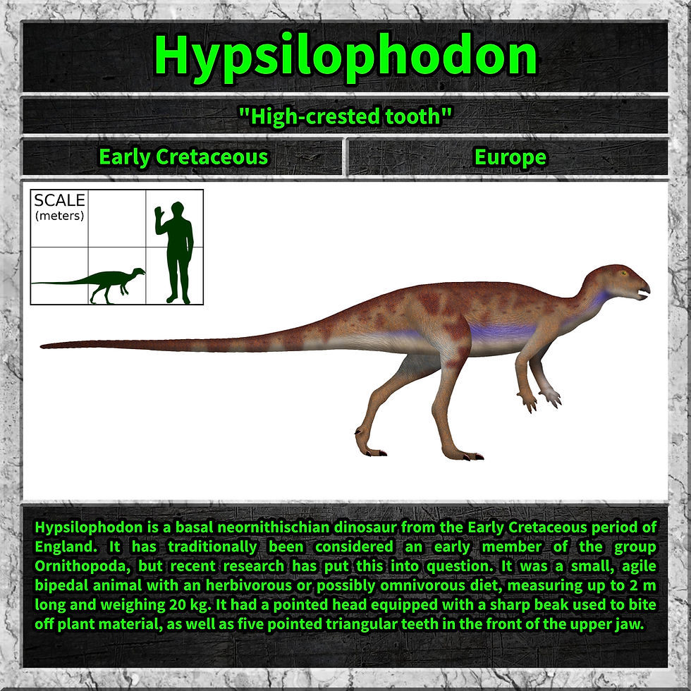 Hypsilophodon