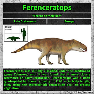 Ferenceratops
