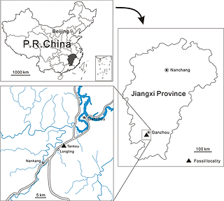 Jiangxititan