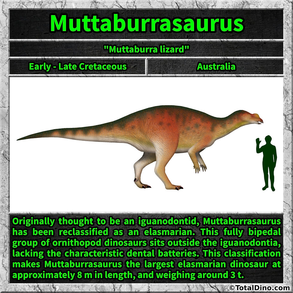 Muttaburrasaurus