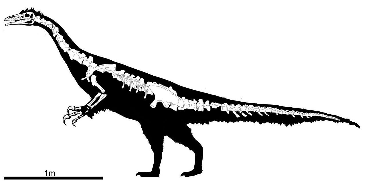 Kayrasaurus